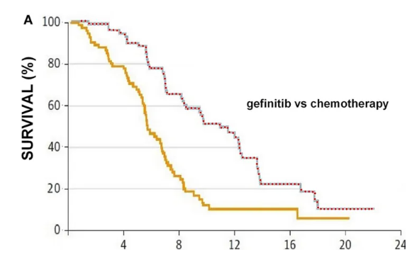 Survival graph: gefitinib versus chemotherapy